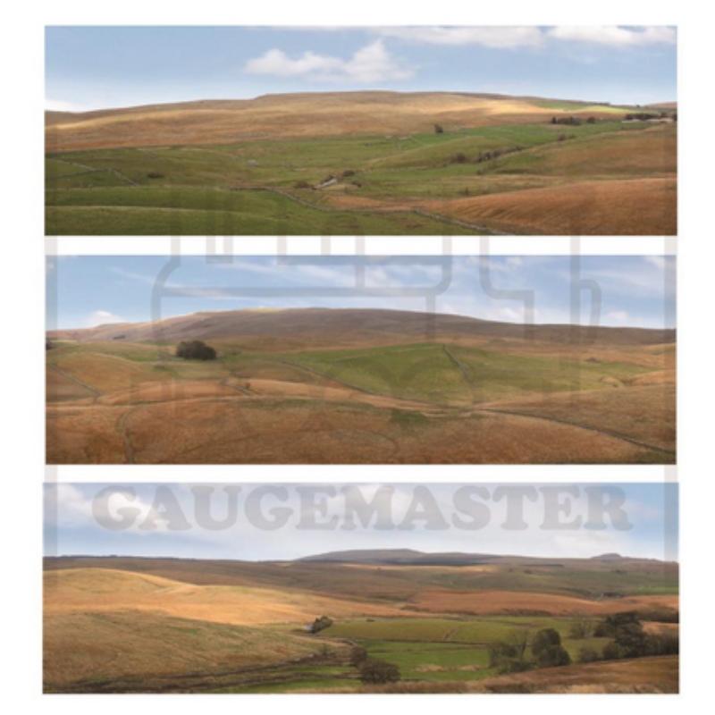 Gaugemaster The Moors Small Photo Backscene (1372x152mm)